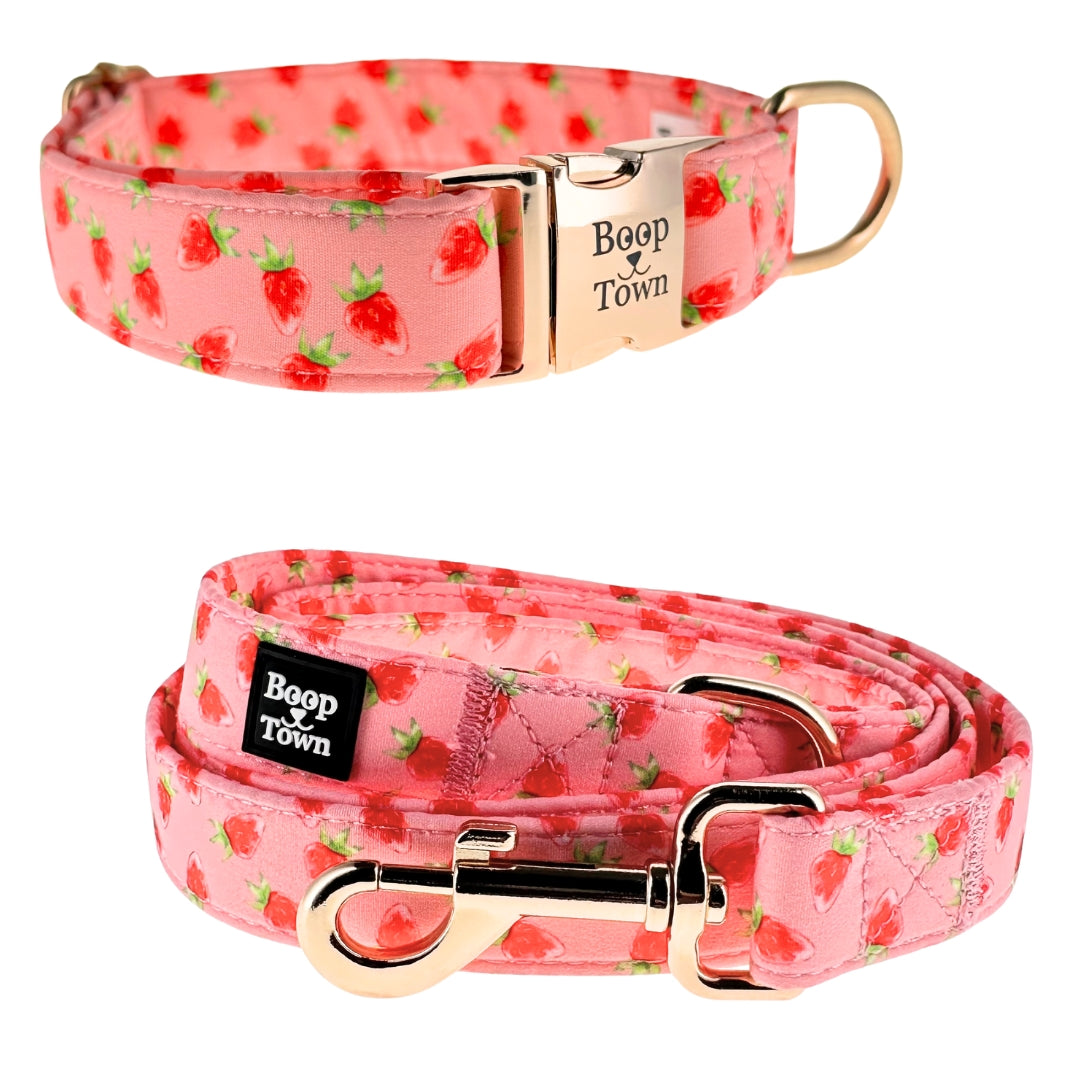 Dog Collar & Leash Sets