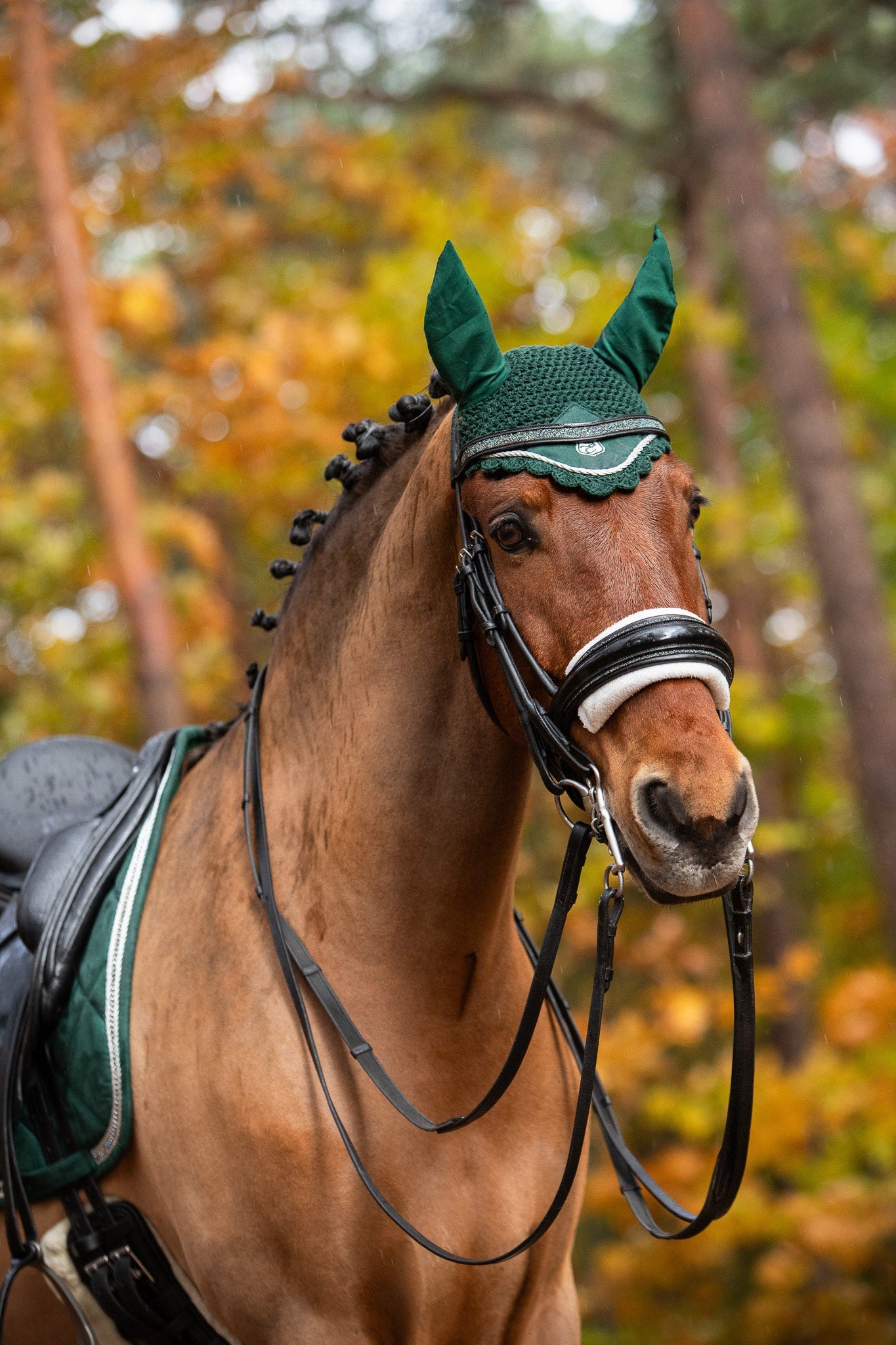 Pine Grove Saddle Pad Set