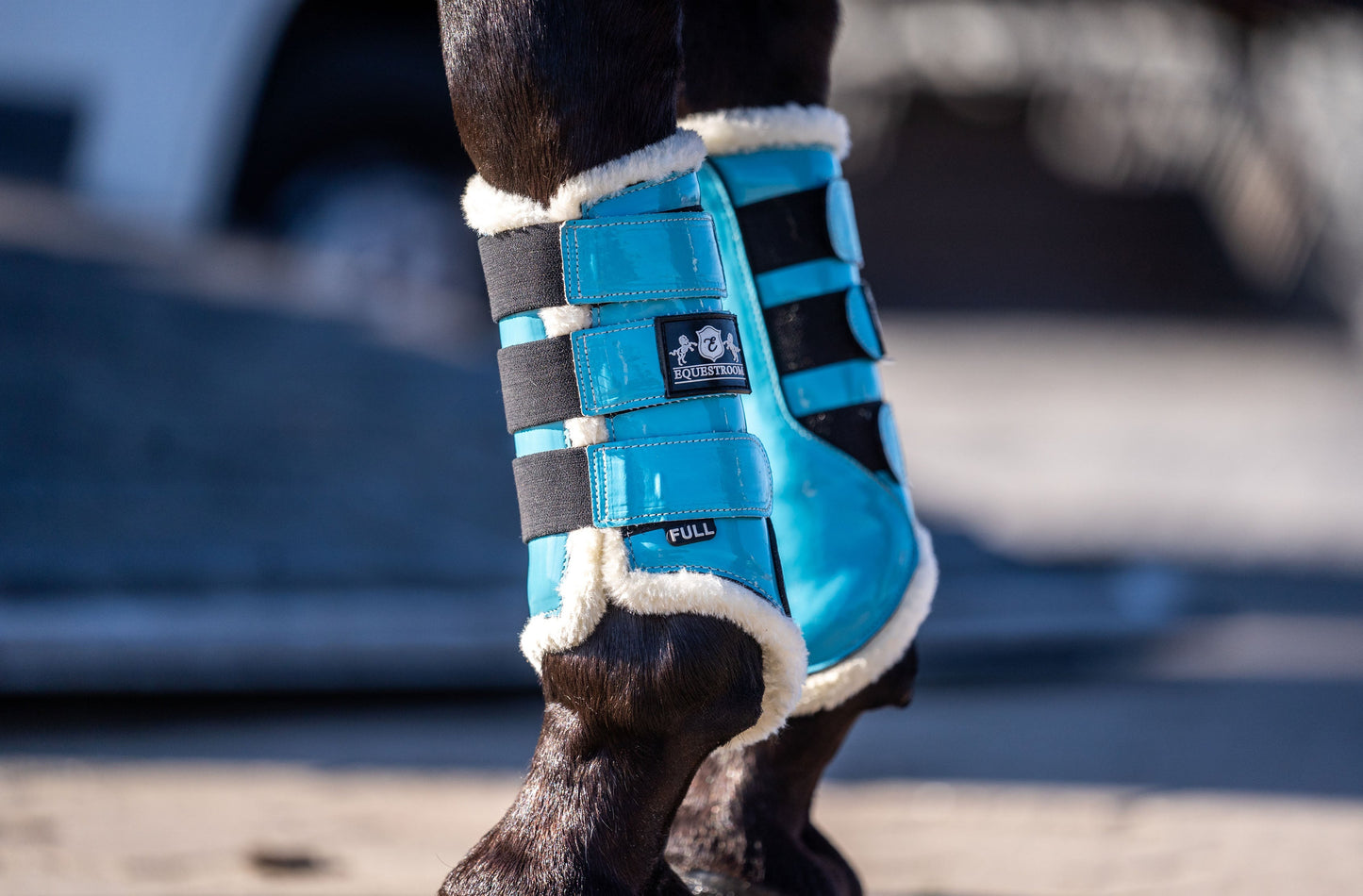 Alice Blue Brushing Boots