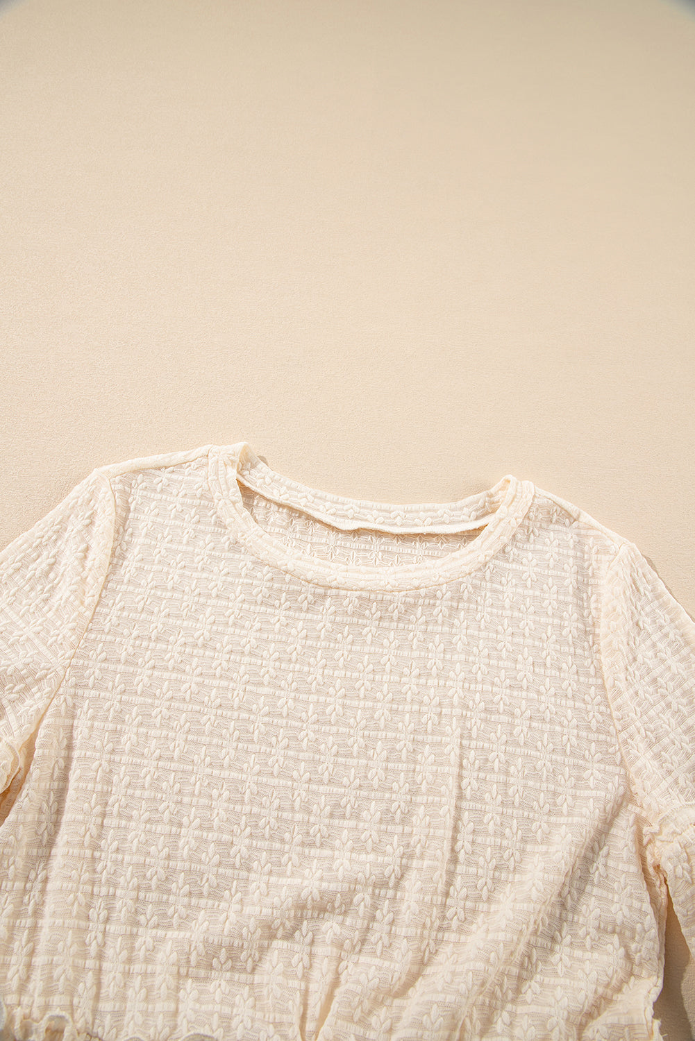 Textured Sheer Ruffle Sleeve Blouse