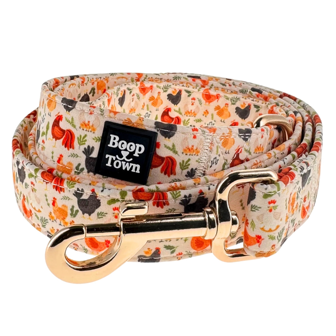 Dog Leashes