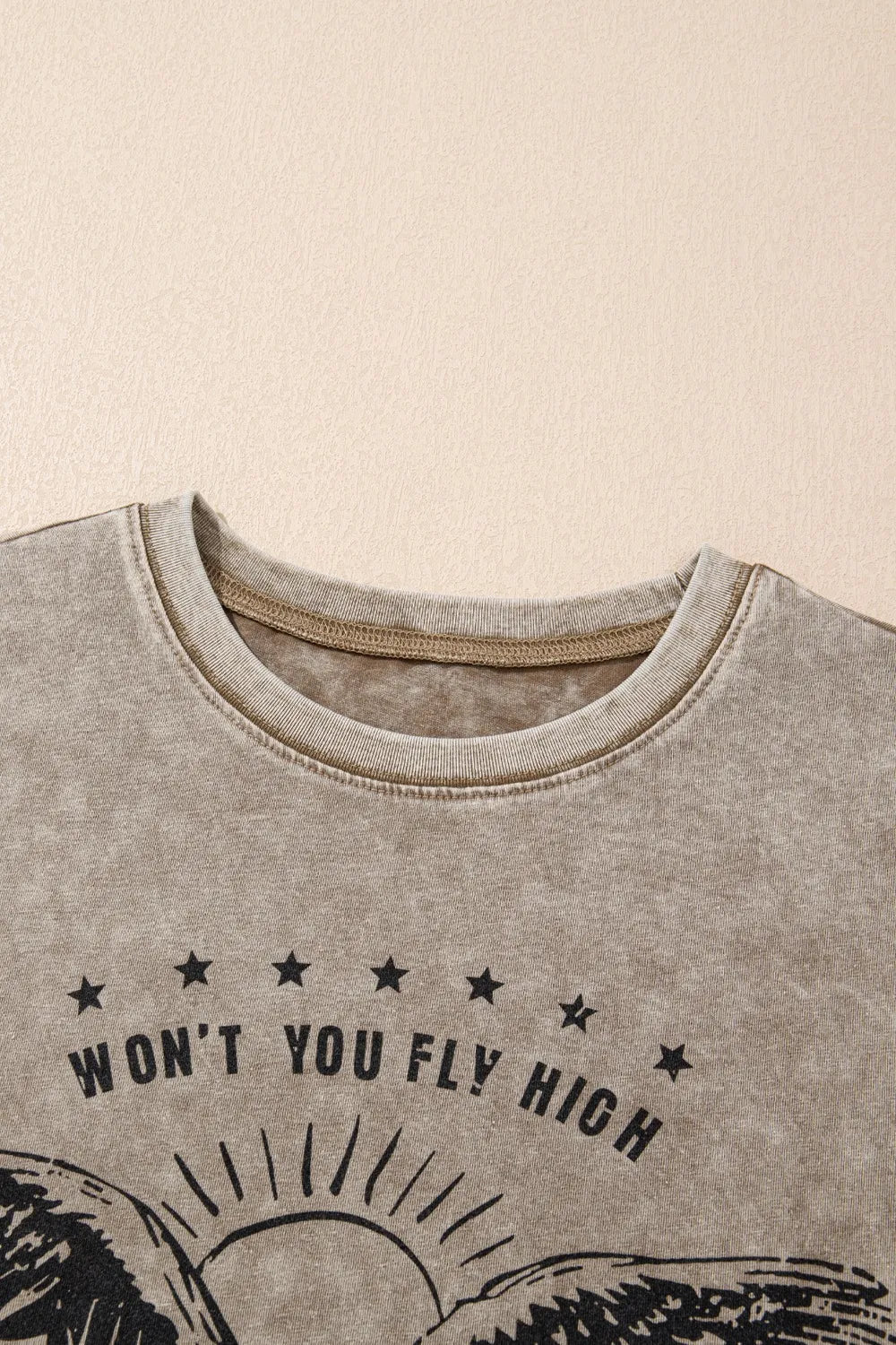 AMERICA FREE BIRD Vintage Graphic Mineral Washed Tee