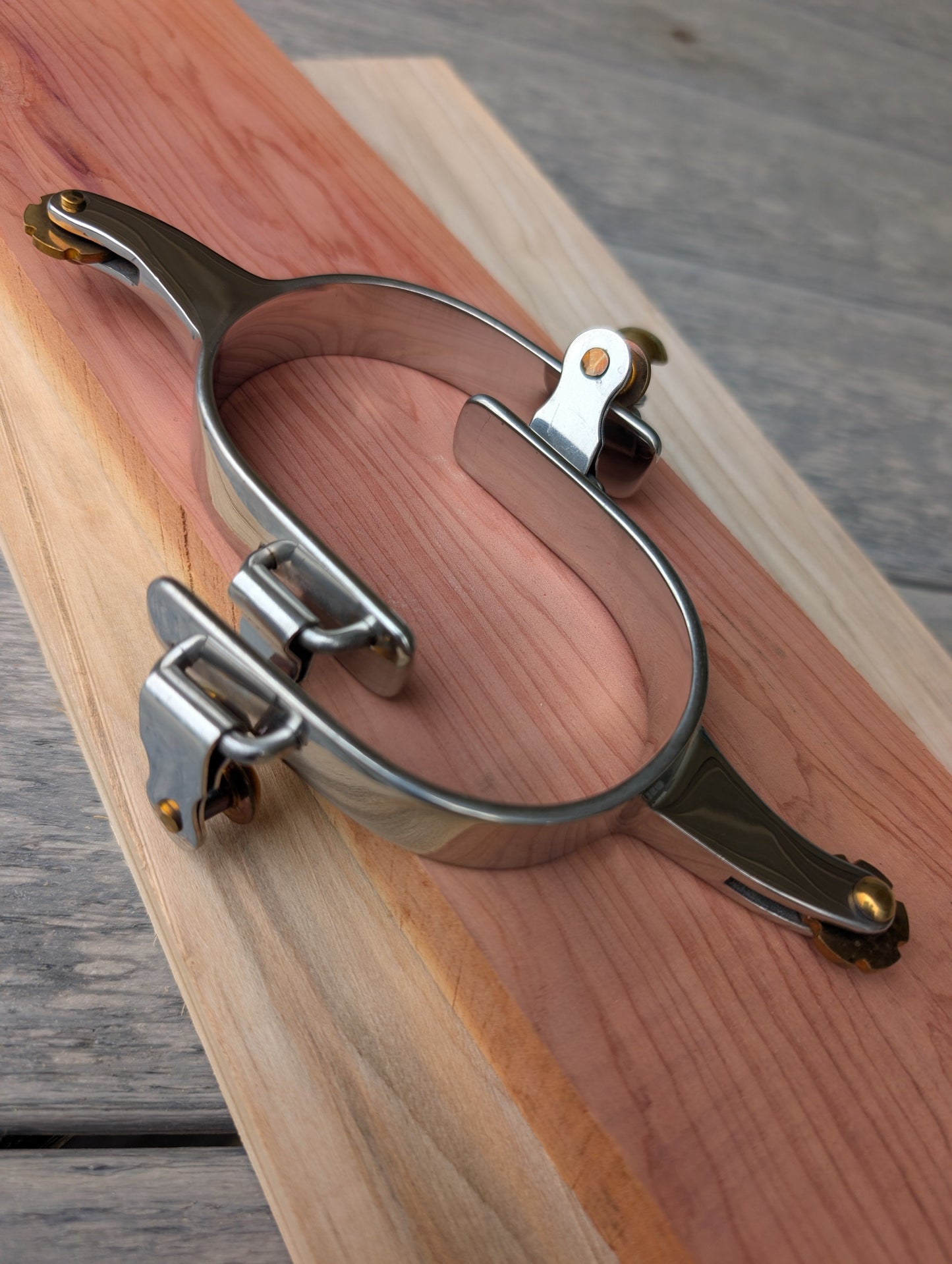 Ladies Horizontal Shank Spurs with Brass Rowel