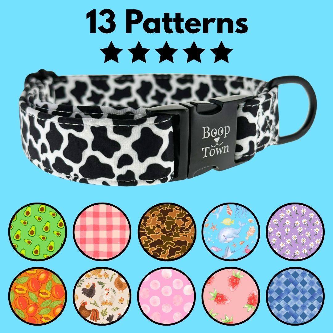 Dog Collars