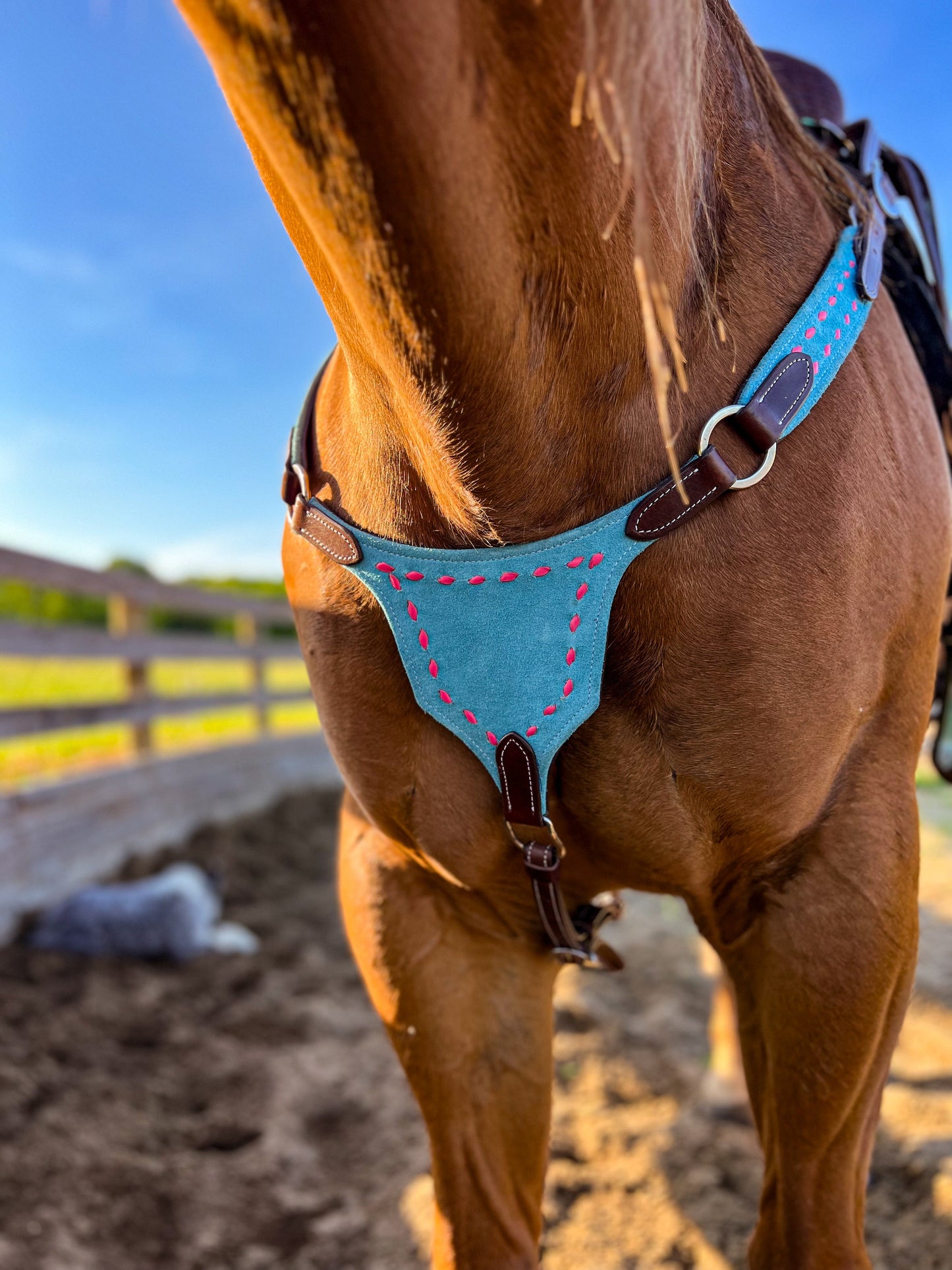 Pink on Turquoise BuckStich Betty Bikini Breast Collar