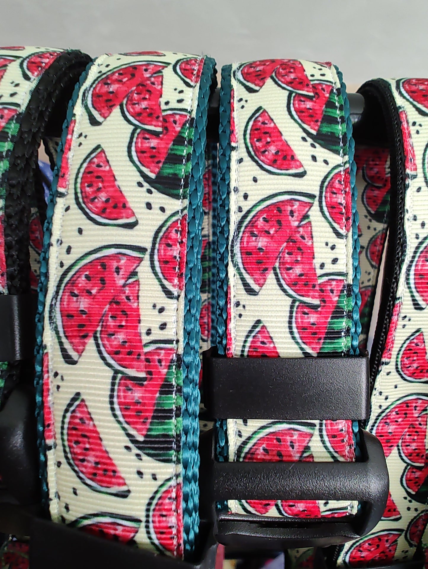 Watermelon Green Nylon Dog Collar MD, LG, XL, Leash