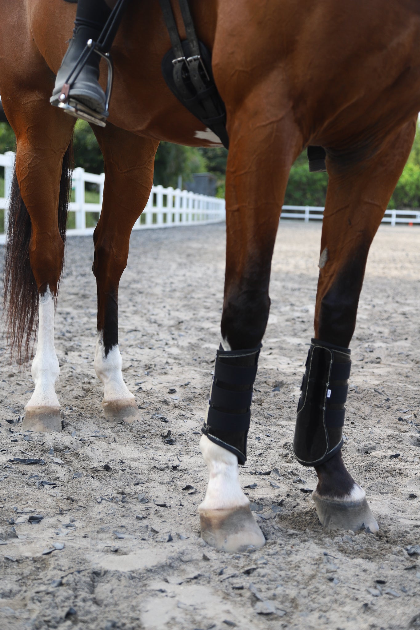 Deep Sapphire Signature Brushing Boots