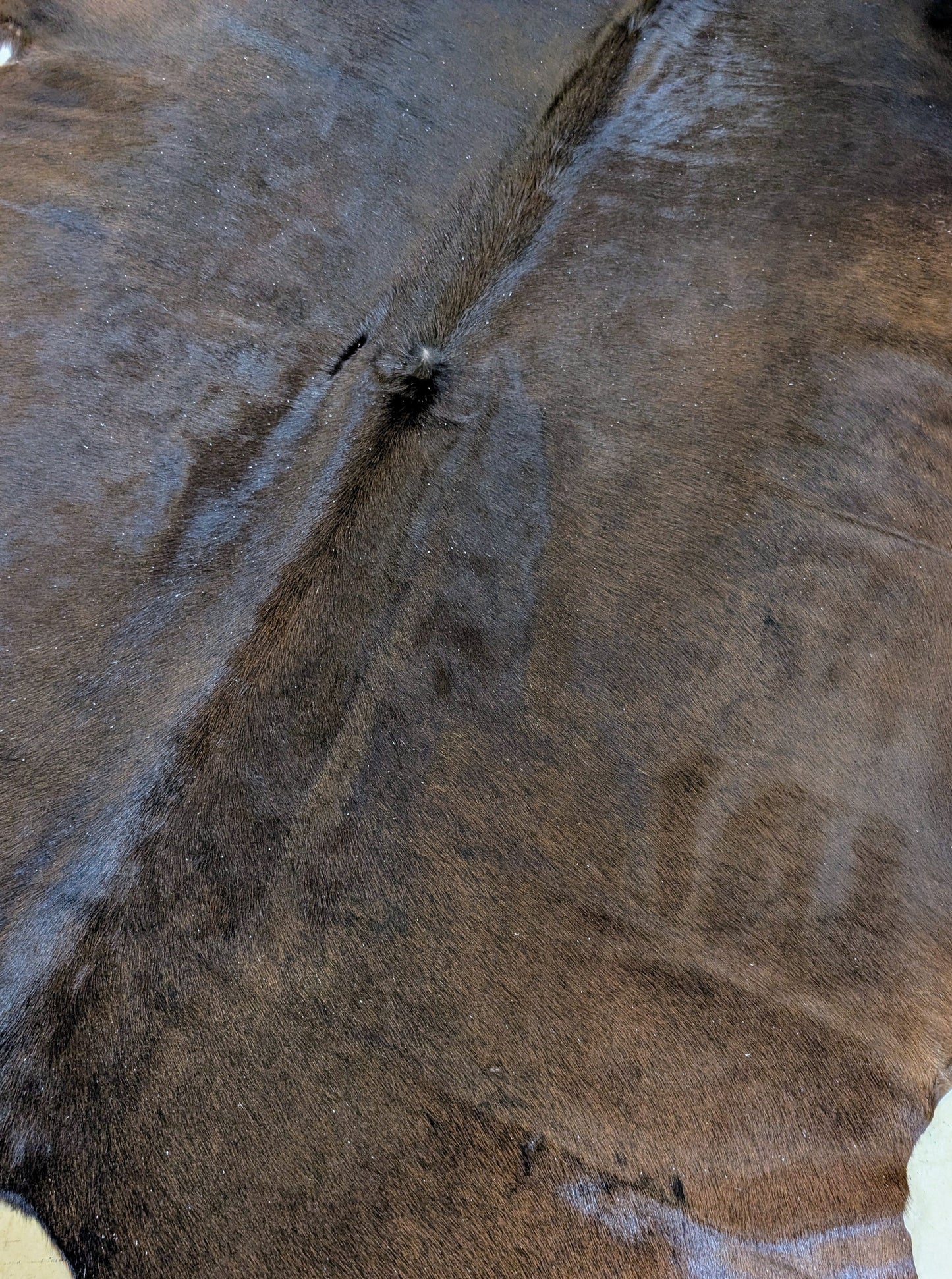 "Dandy" Full Cowhide