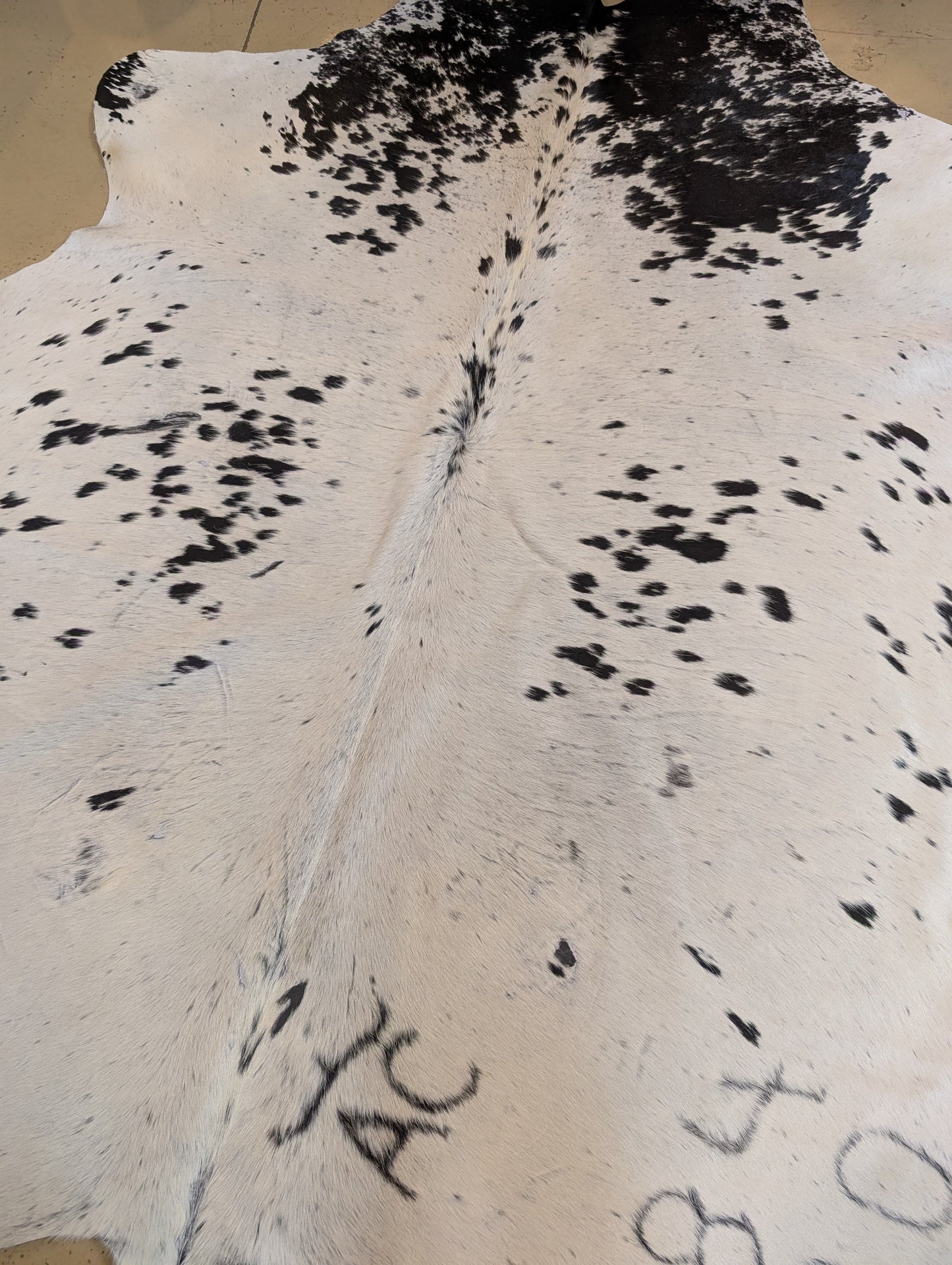 "AC" Full Cowhide