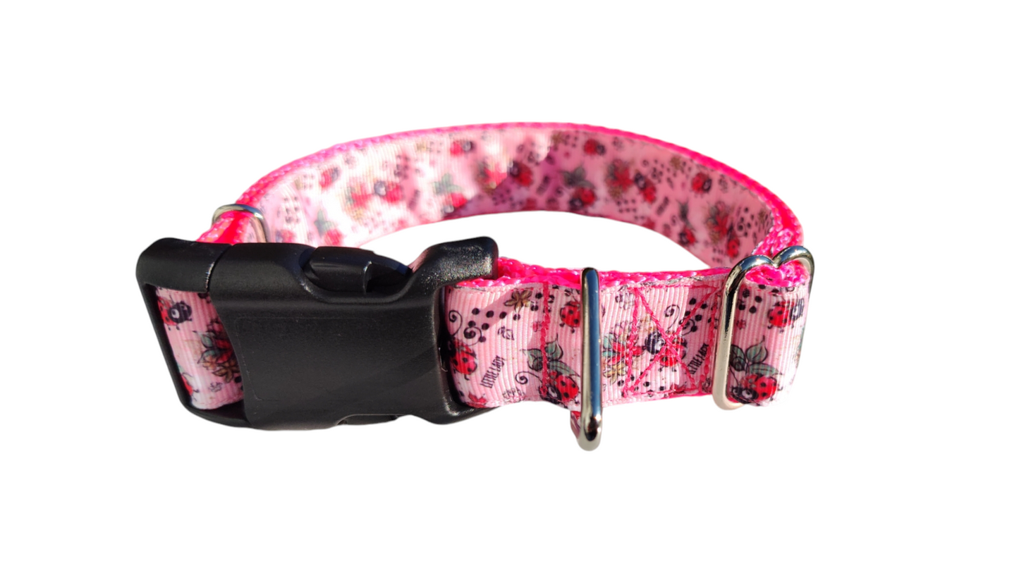 Little Lady Ladybug Nylon Dog Collar