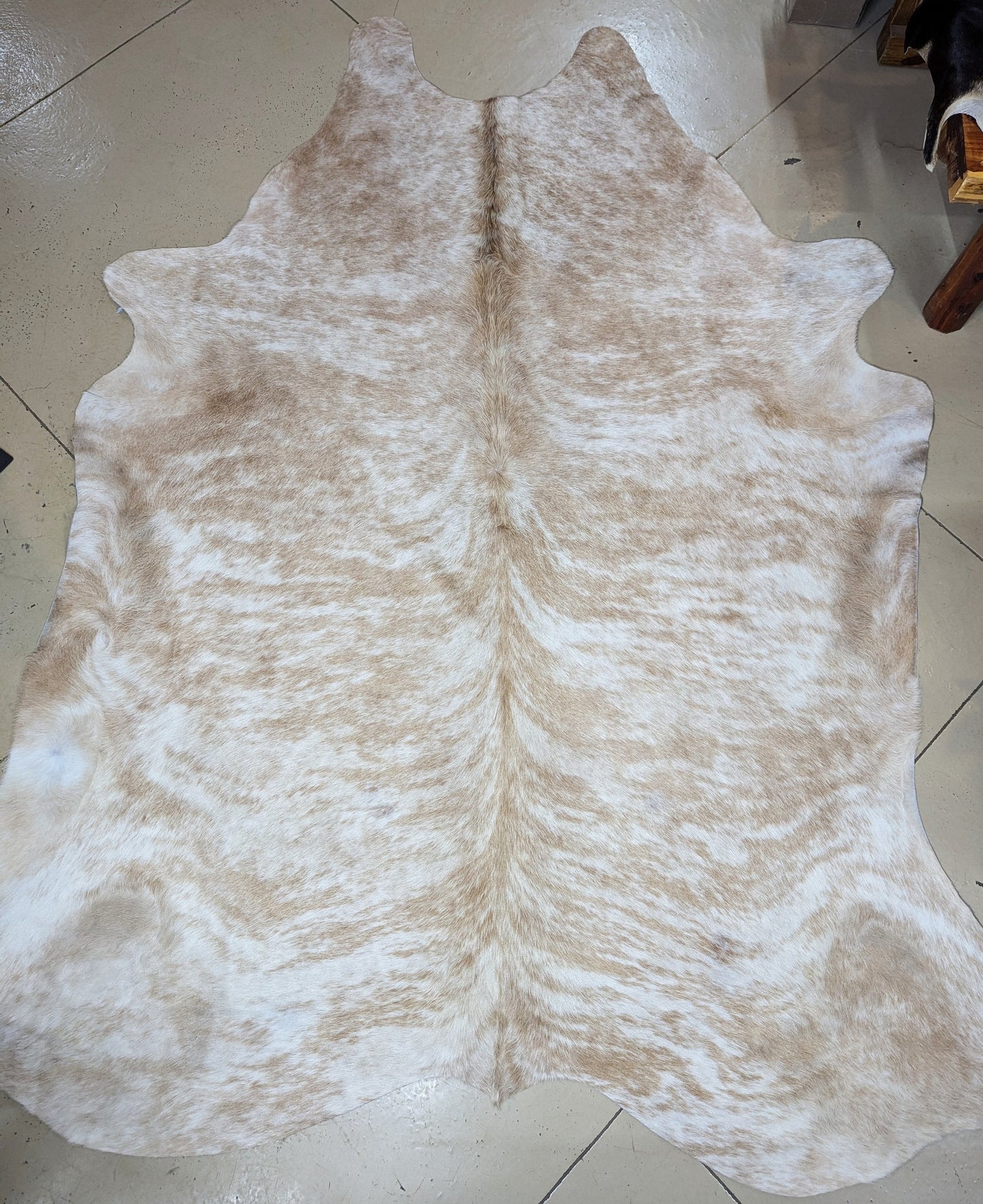 "Popcorn" Full Cowhide