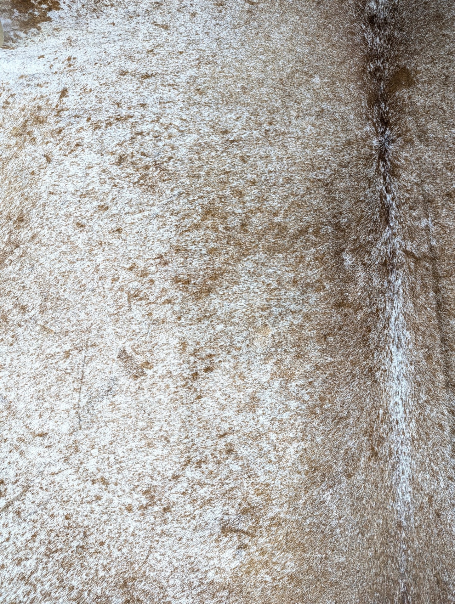 "Red Roan" Full Cowhide