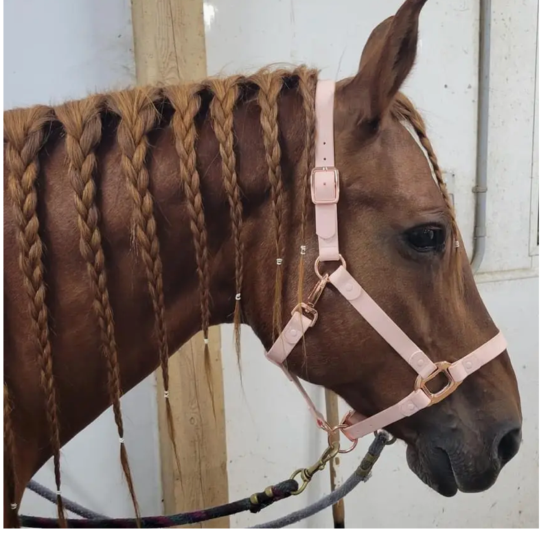 100% Waterproof Pink and Rose Gold Horse Halter