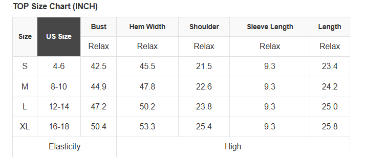 Solid Raglan Sleeve V-Neck T-Shirt