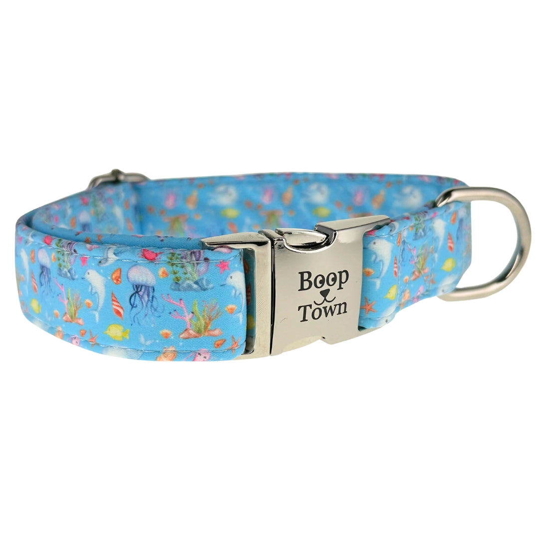 Dog Collars