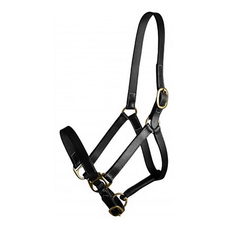 Gatsby Adj Turnout Halter No Snap