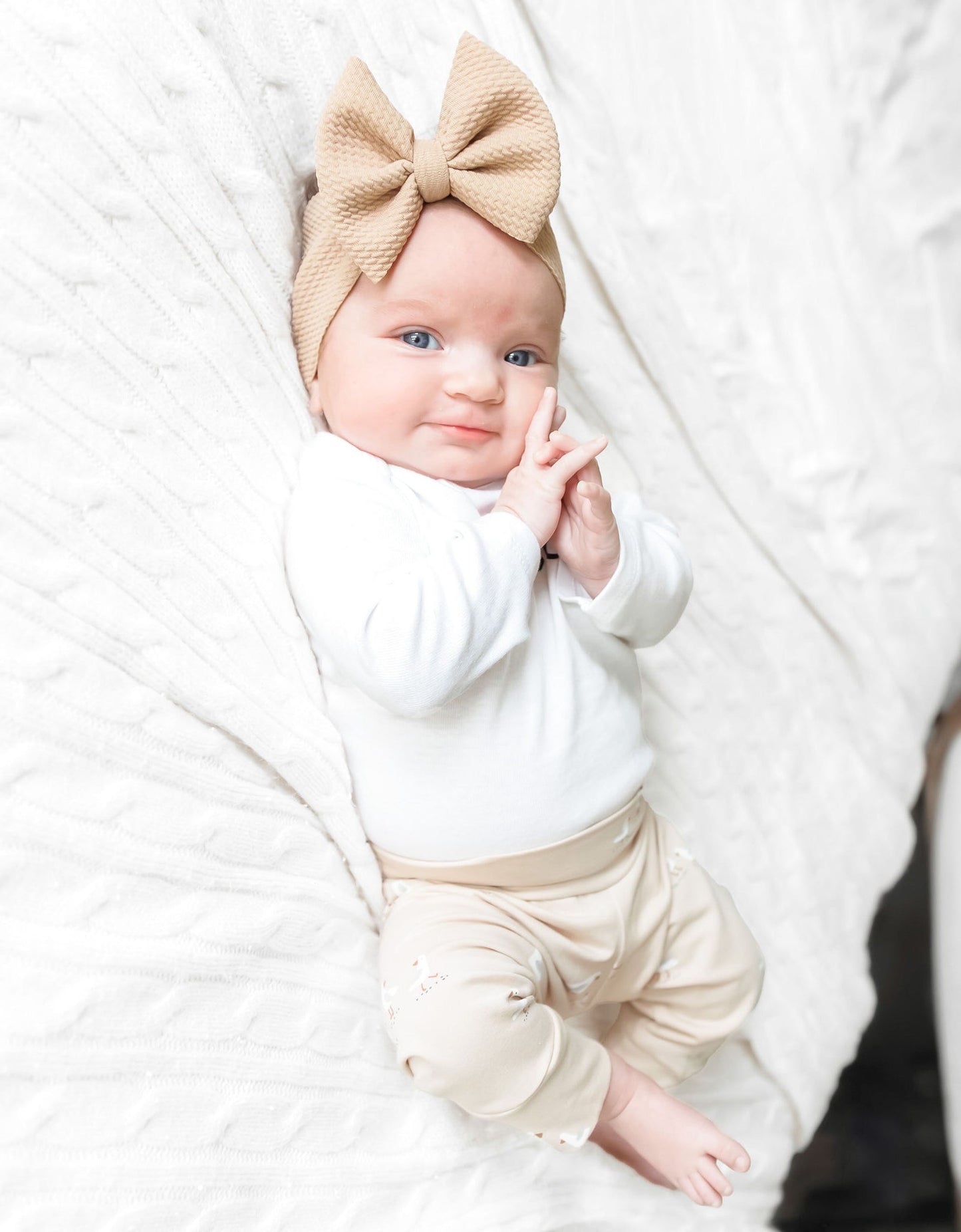 Seagulls on Tan Baby & Toddler Cotton Knit Leggings