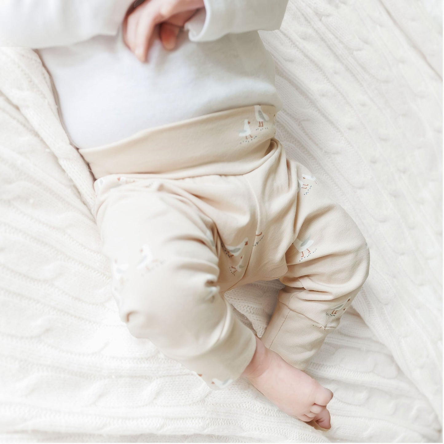 Seagulls on Tan Baby & Toddler Cotton Knit Leggings