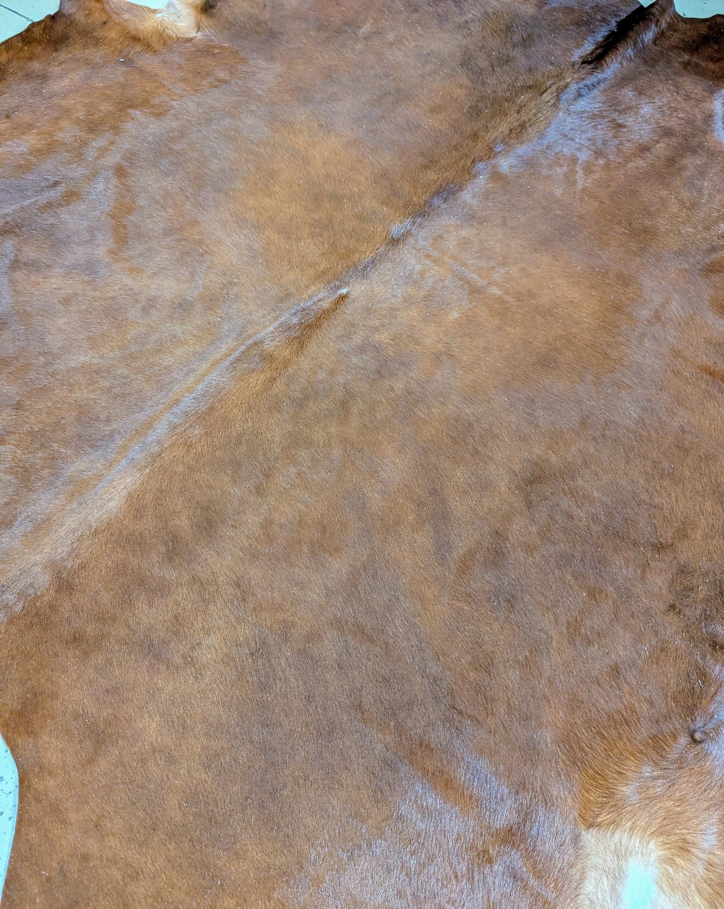 "Shiner" Genuine Shiny Red Full Cowhide