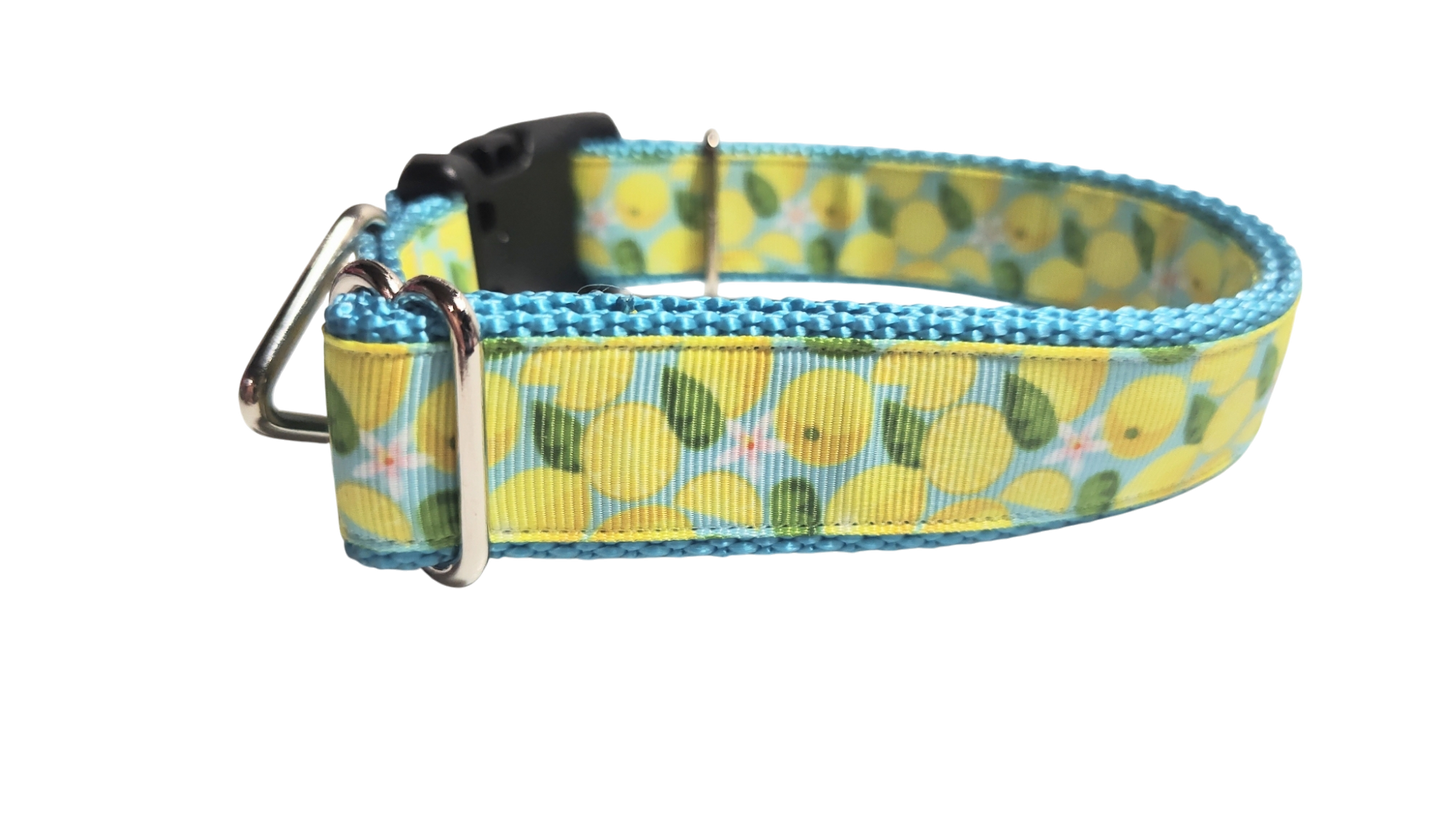 Lemons Nylon Dog Collar