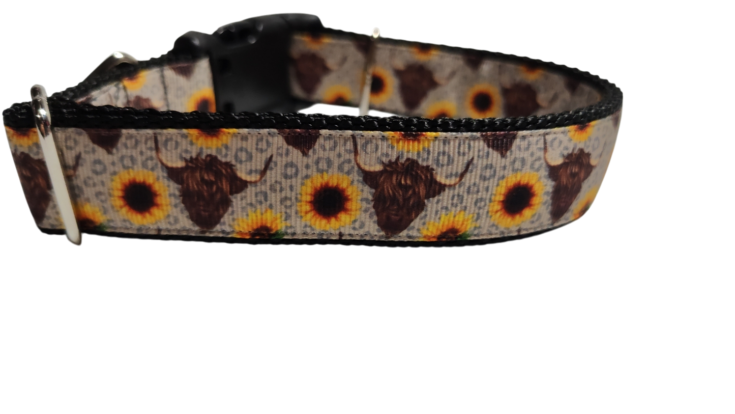 Cows and Sunflowers Western Nylon Dog Collar