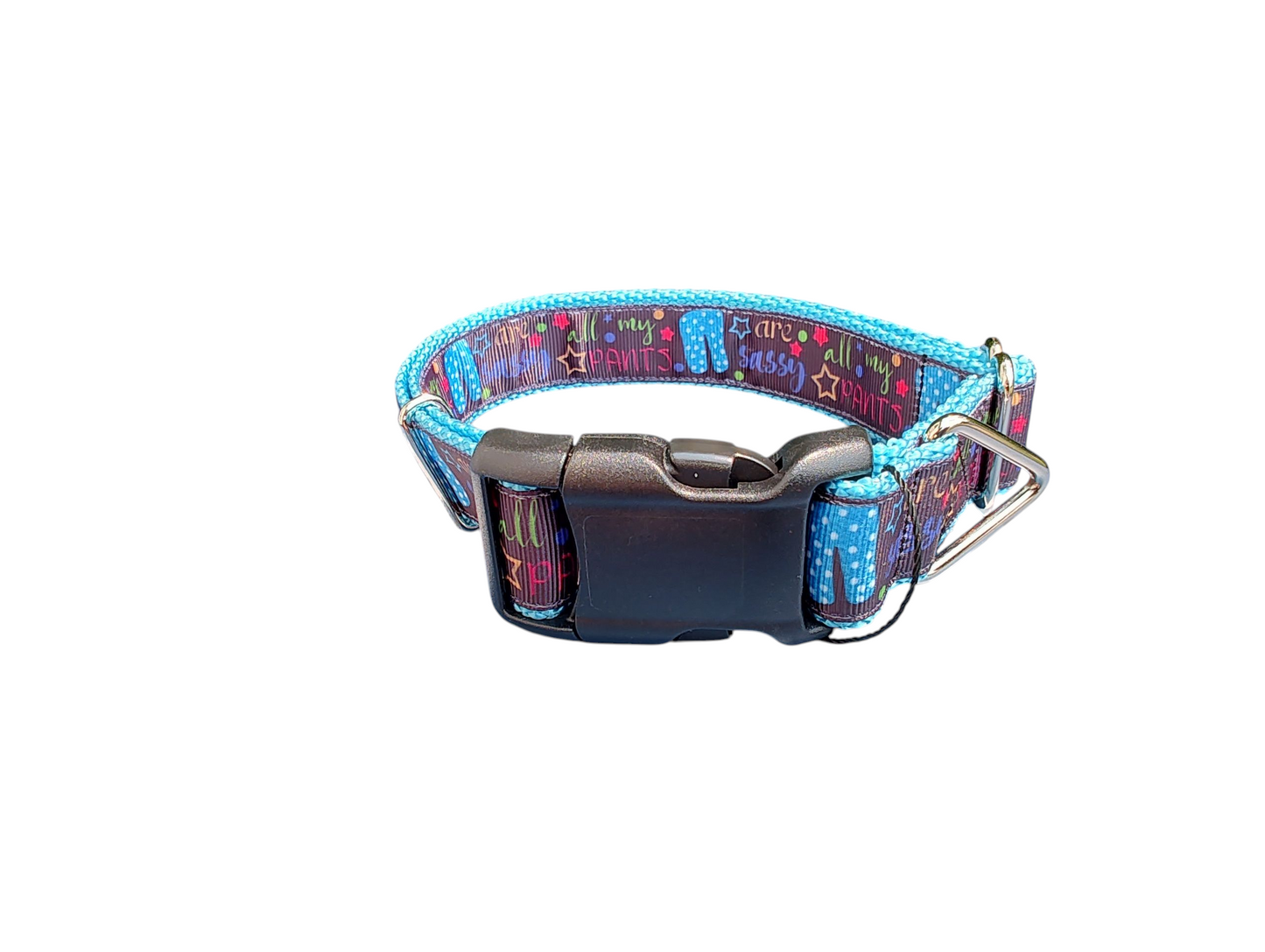Sassy Pants Nylon Dog Collar