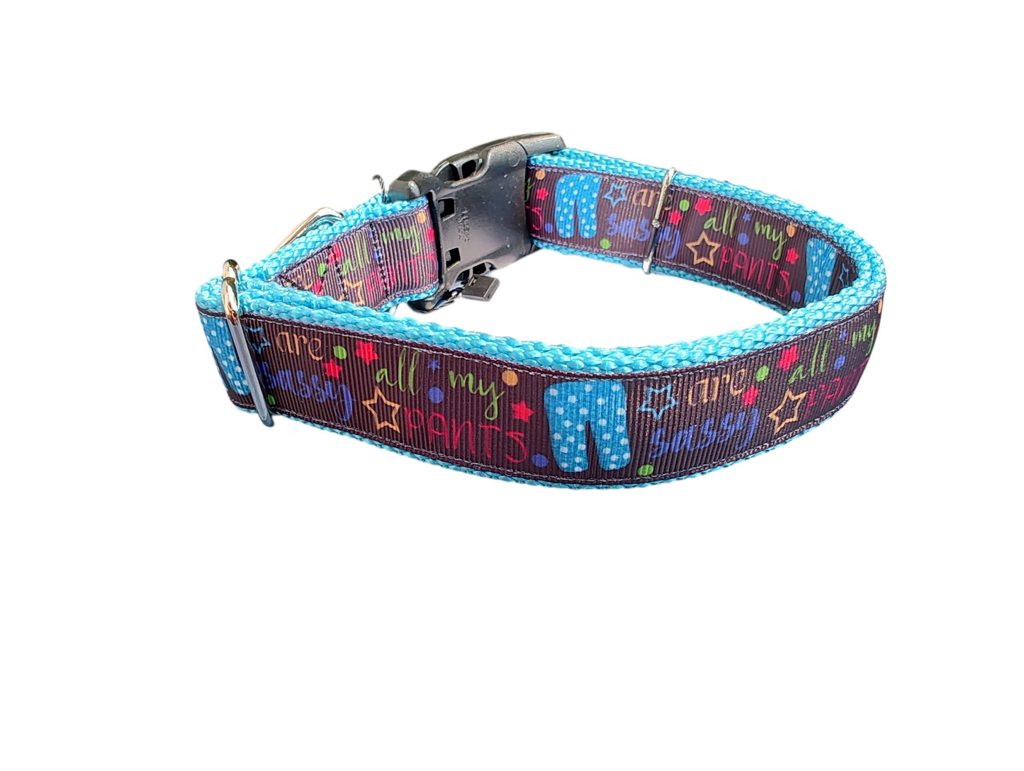 Sassy Pants Nylon Dog Collar