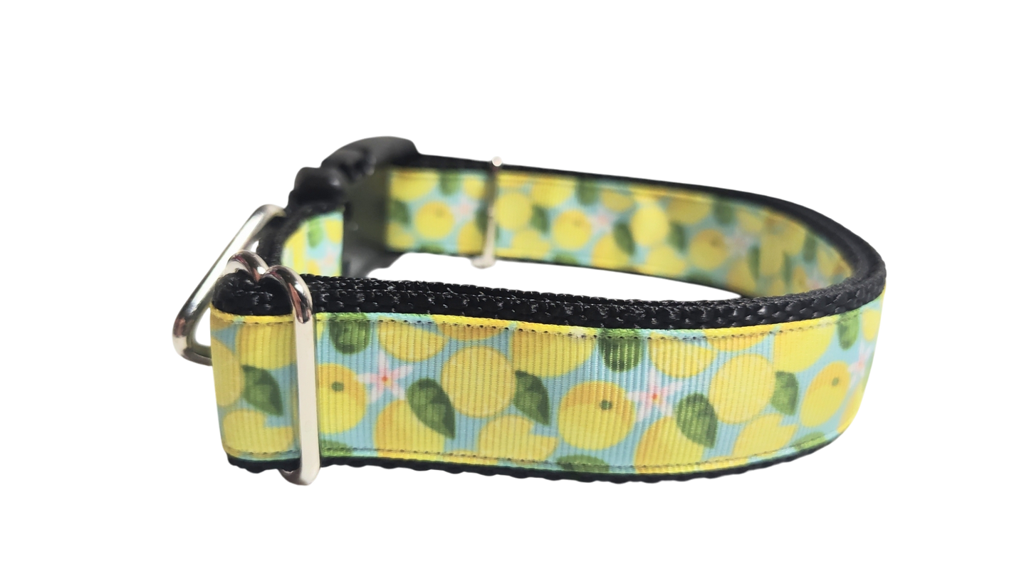 Lemons Nylon Dog Collar