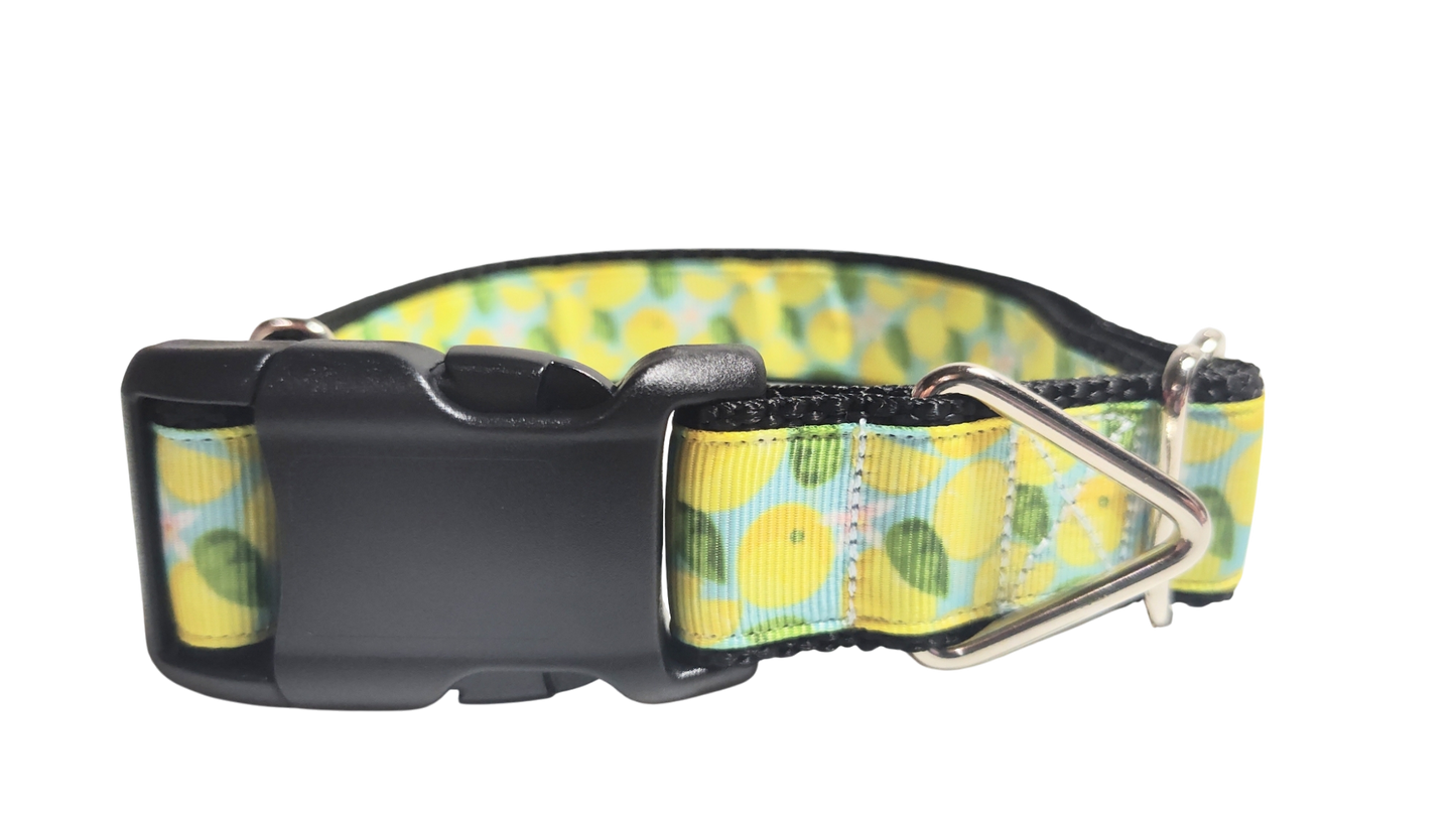 Lemons Nylon Dog Collar