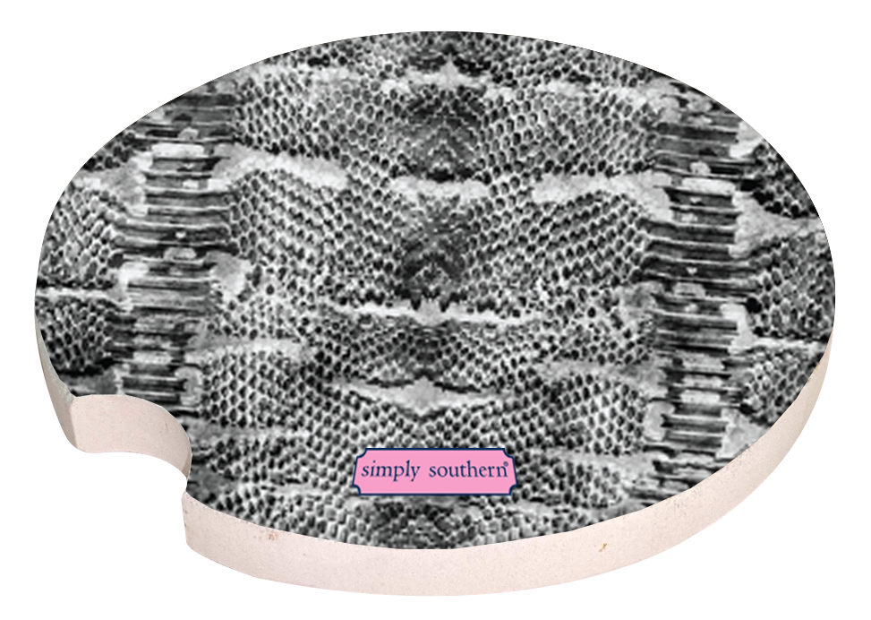 Car Coaster - Simply Life - F21 - Simply Southern