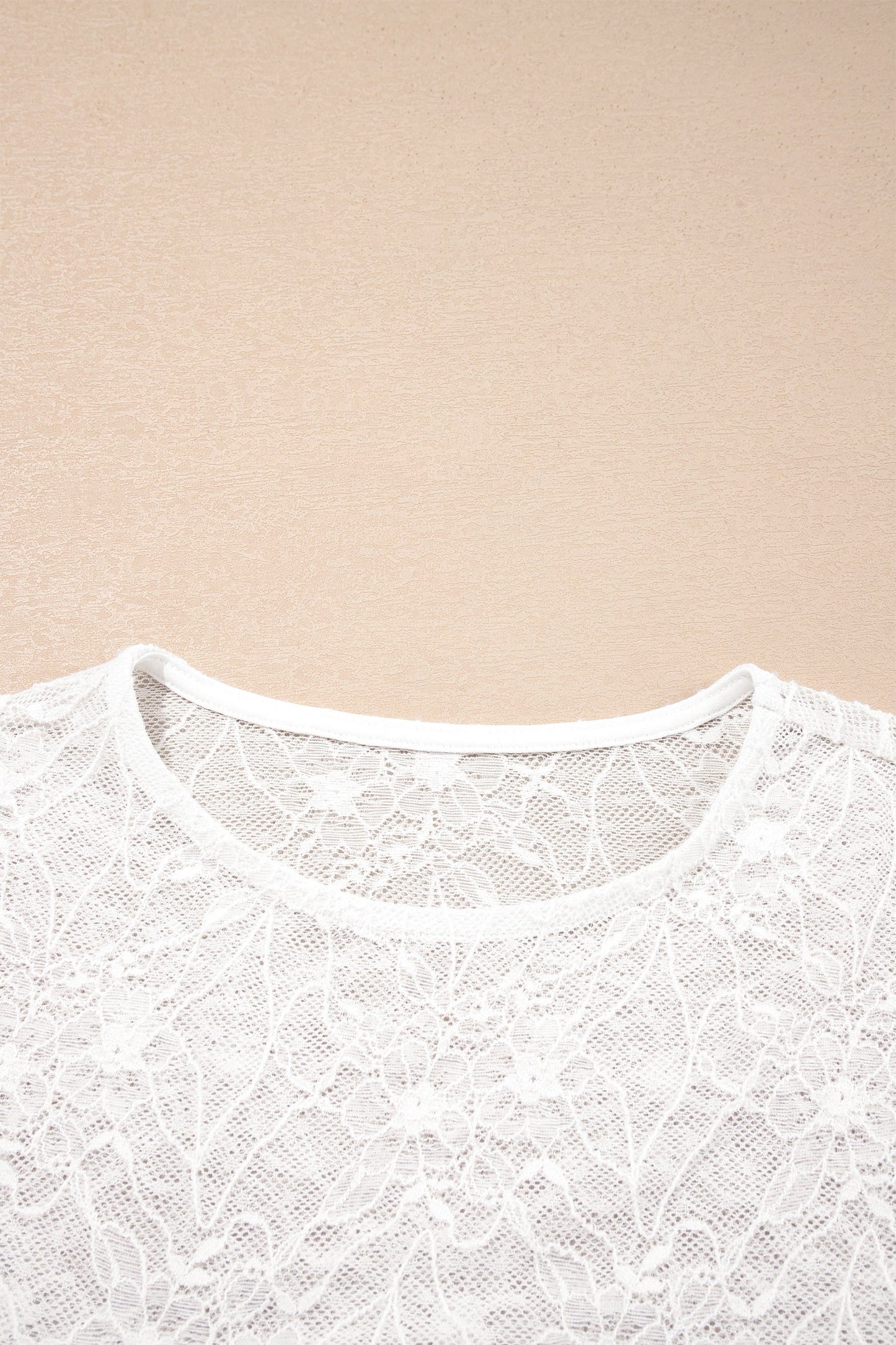 Sheer Lace Mesh Crew Neck Long Sleeve Top