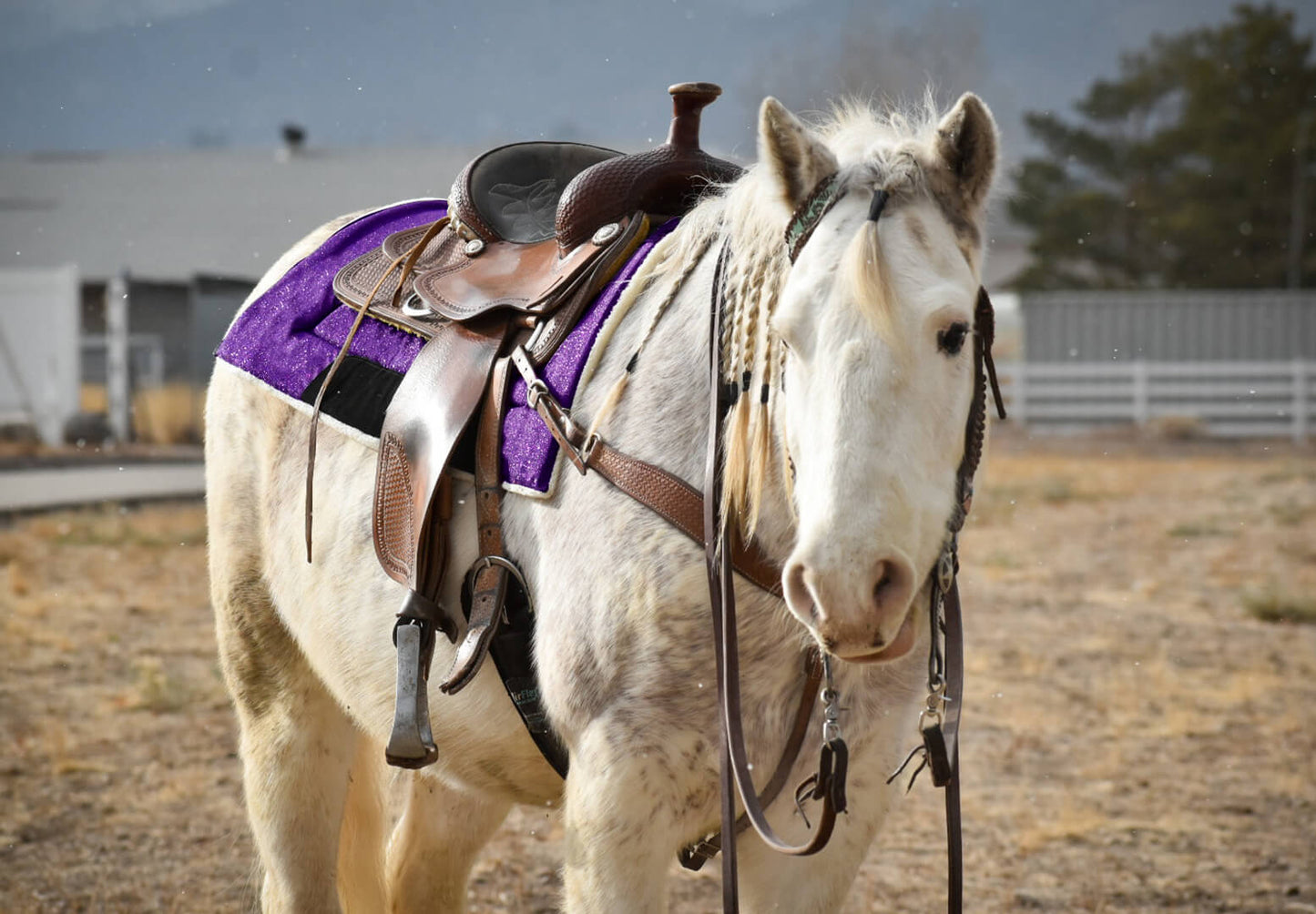 Purple Amethyst Western Saddle Pad