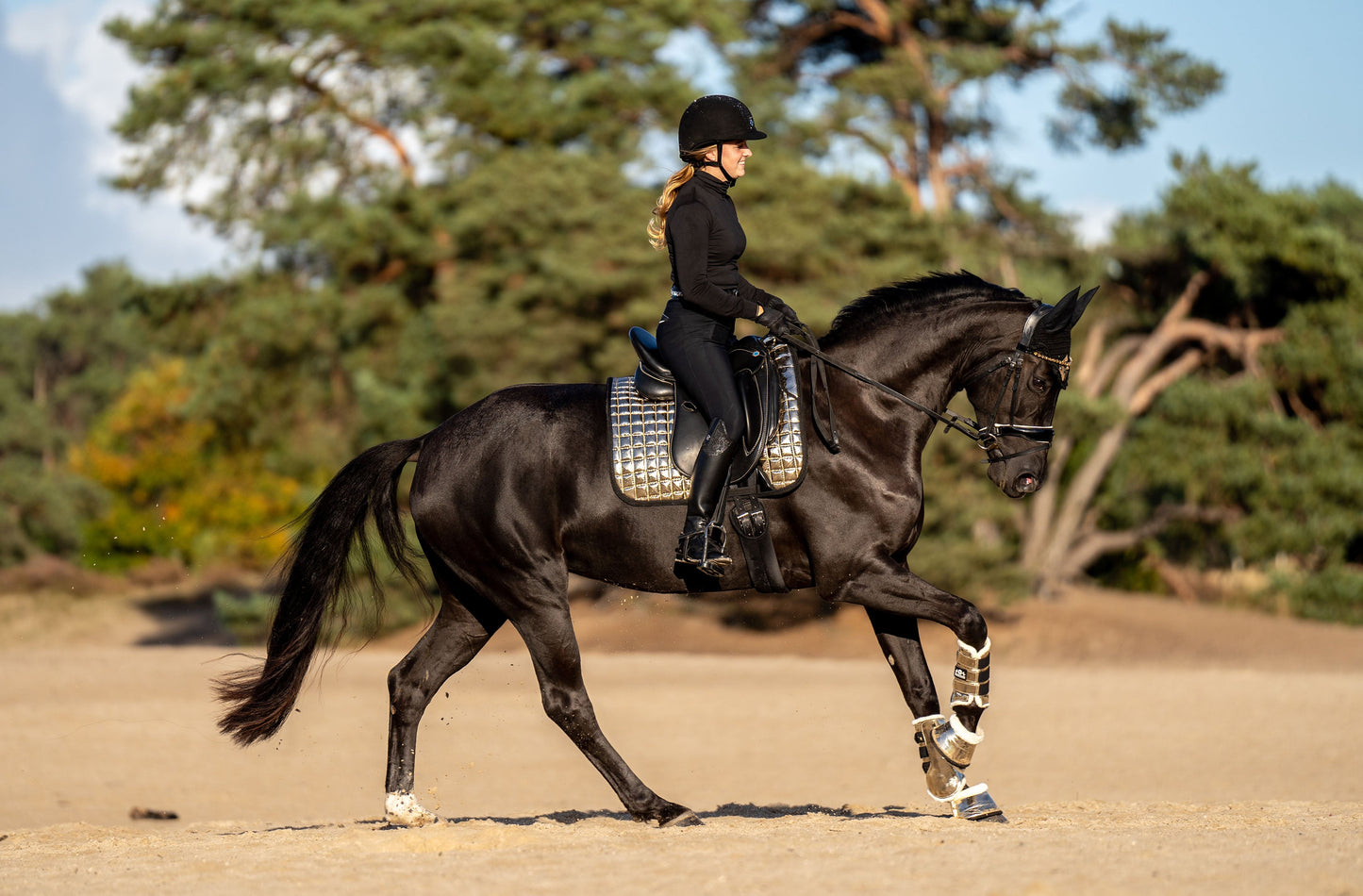 Aurum Saddle Pad Set