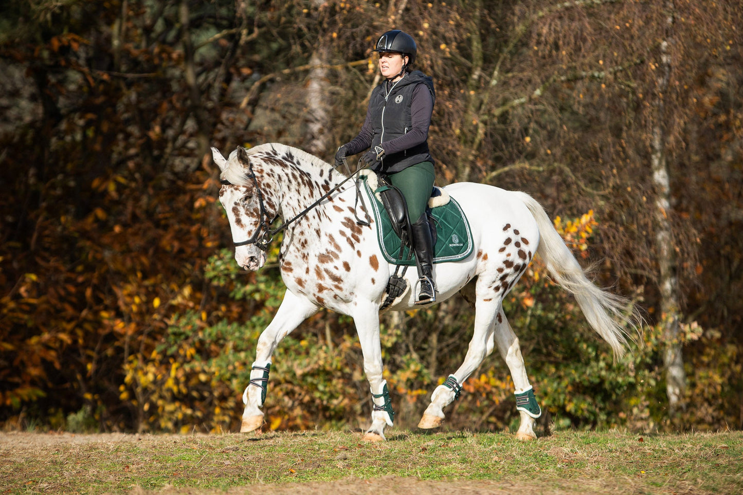 Pine Grove Saddle Pad Set