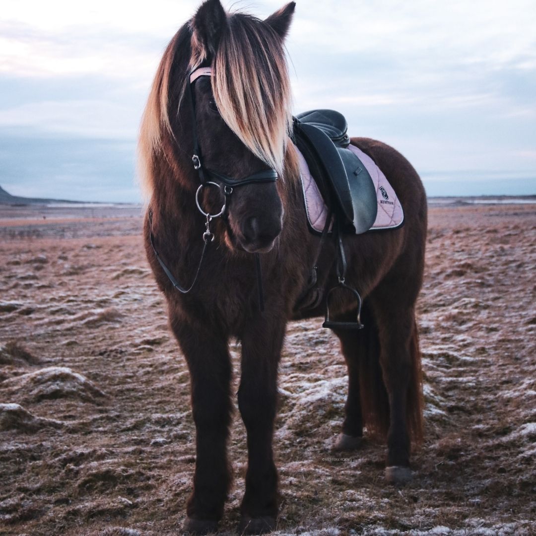 Rose Quartz Saddle Pad