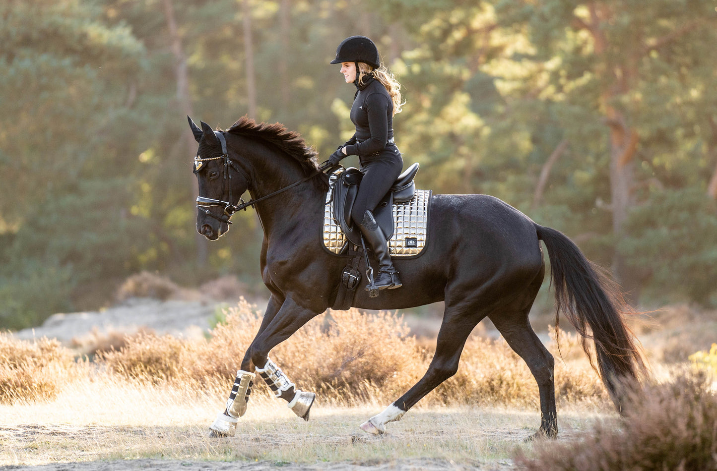 Aurum Saddle Pad