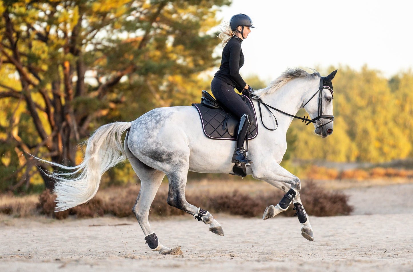 Midnight Black Saddle Pad Set