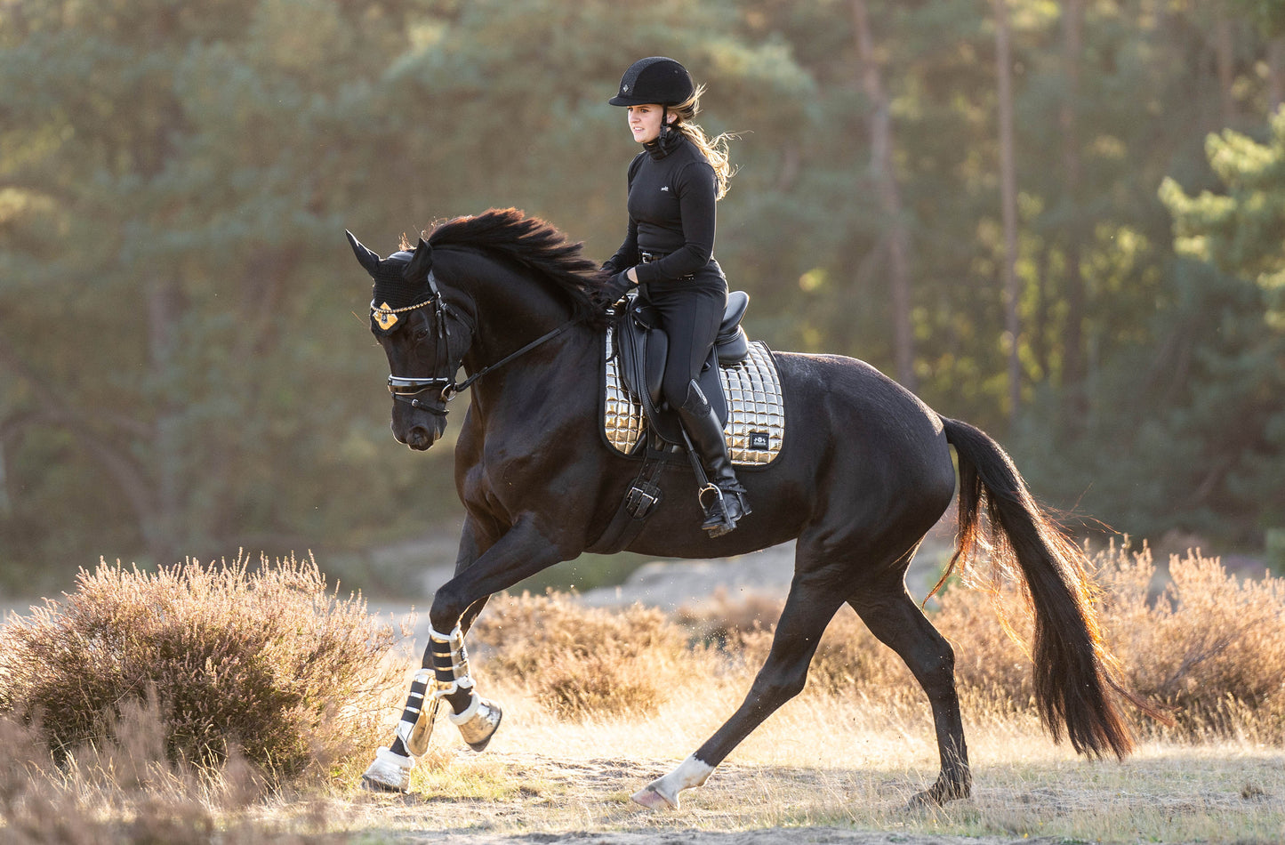 Aurum Brushing Boots