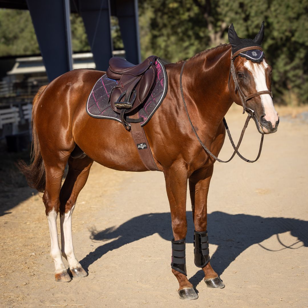 Ultraviolet Saddle Pad Set