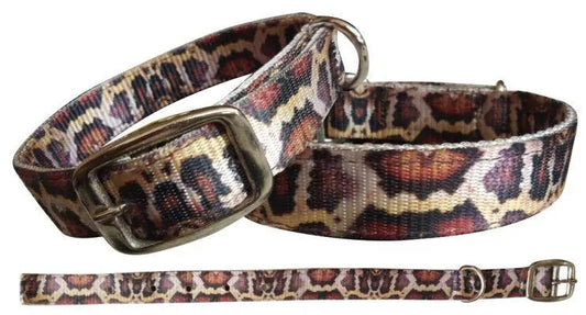 Python designed nylon dog collar