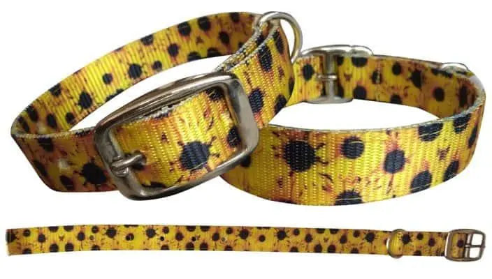 Sunflower designed nylon dog collar