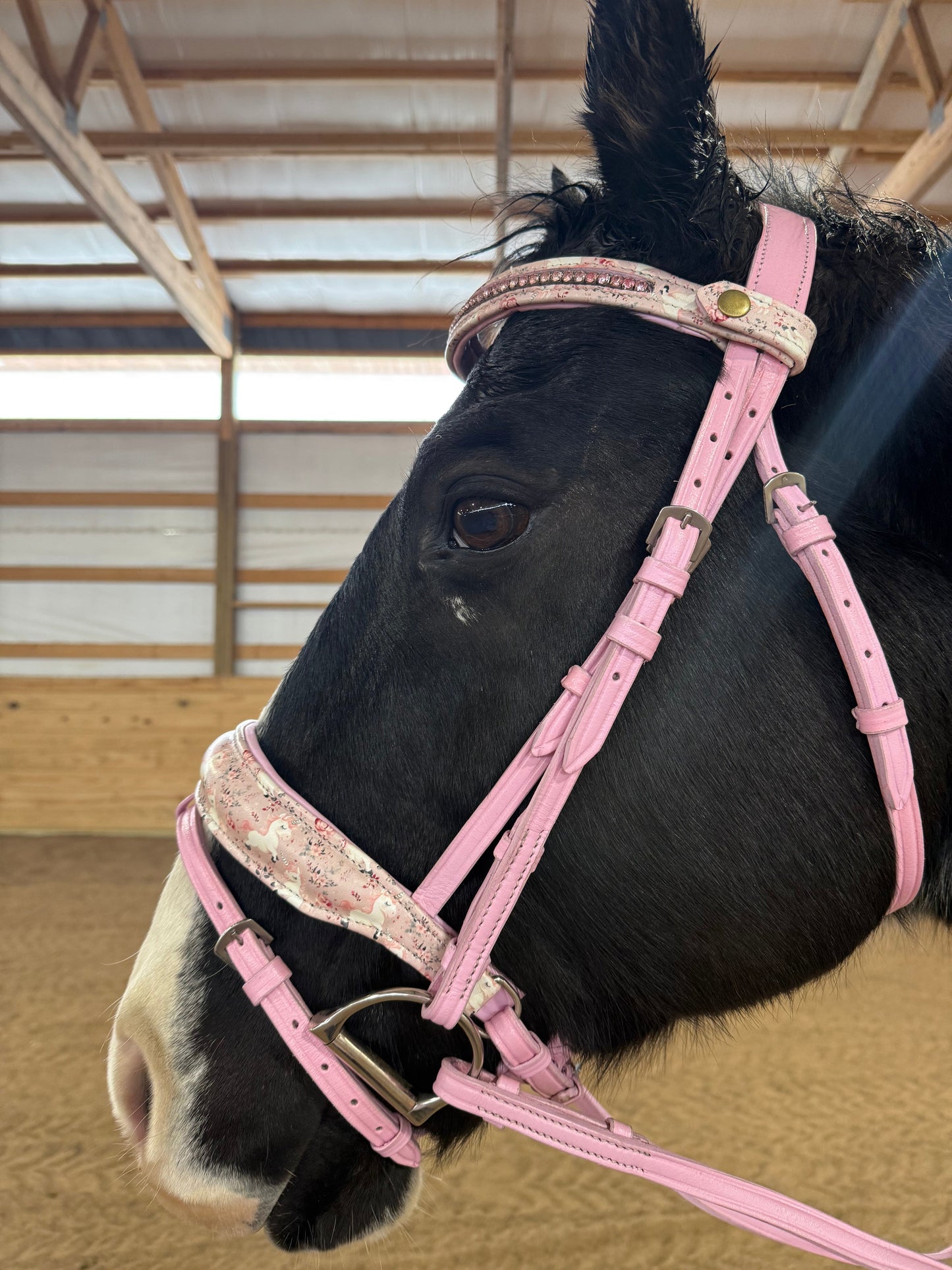 Unicorn Realms Flash Bridle