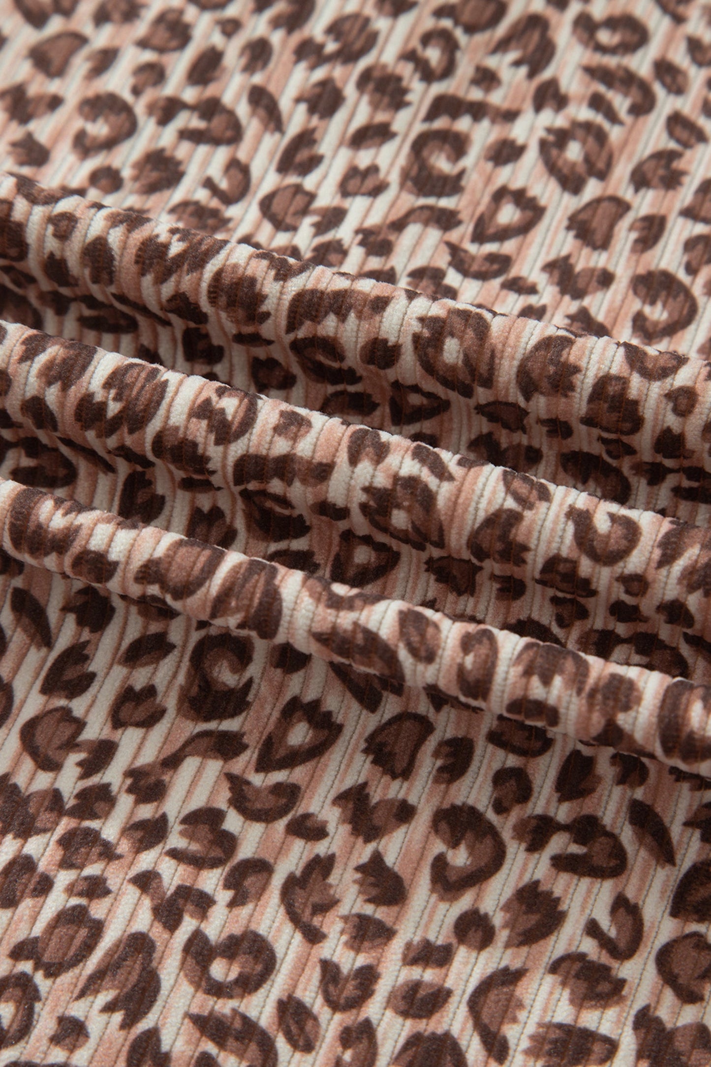 Leopard Ribbed Tee & Elastic Waist Shorts Set