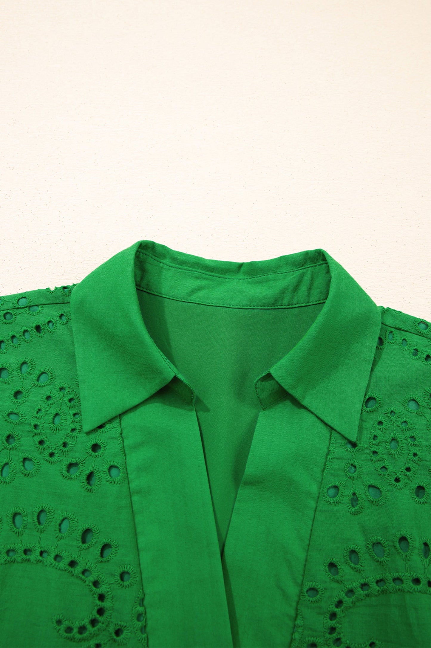 Solid Embroidered Eyelet Collared V-Neck Mini Dress