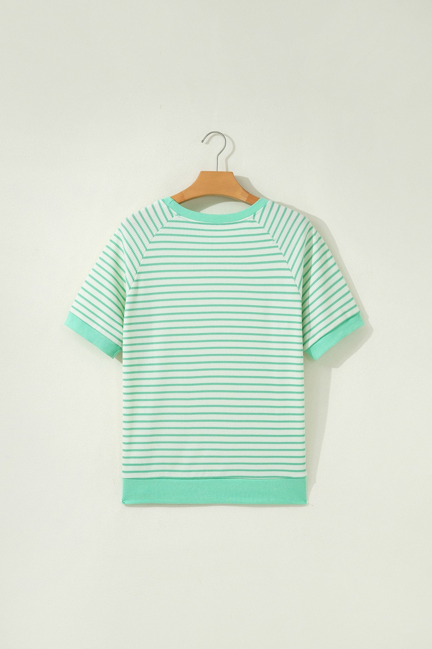 Stripe Colorblock Trim Round Neck Short Sleeve Tee
