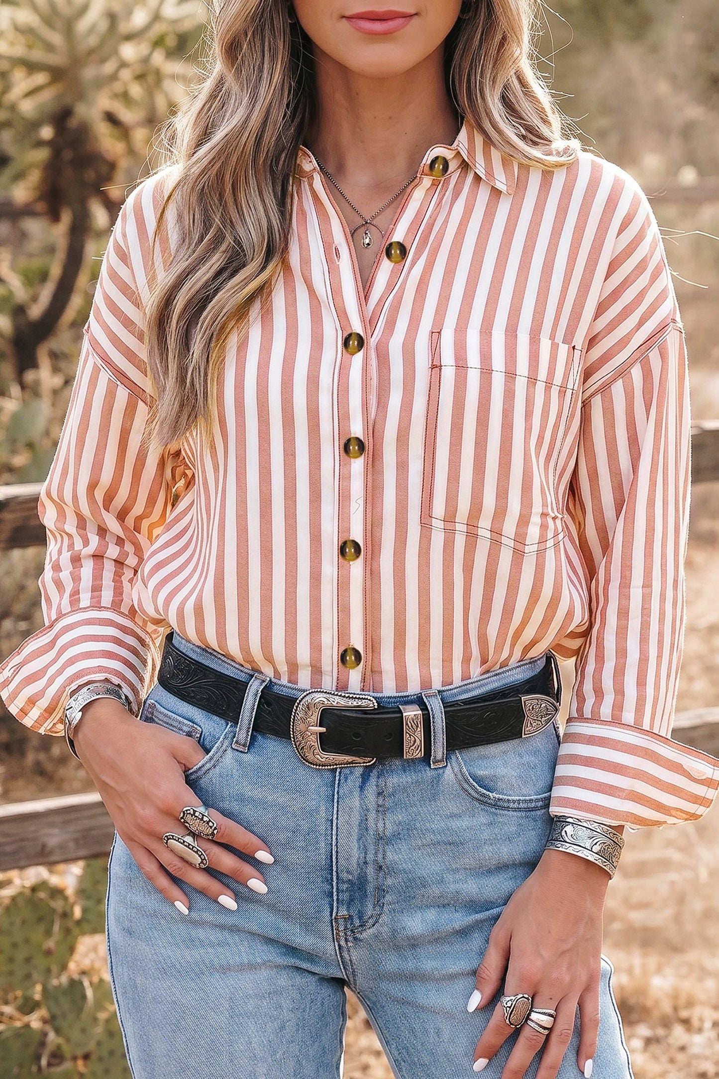 Western Stripe Button Down Long Sleeve Shirt