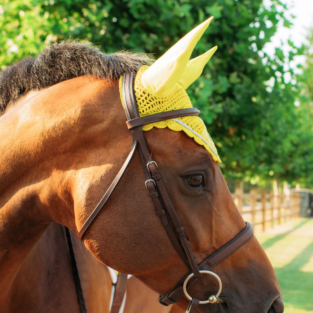 Mimosa Fly Hat