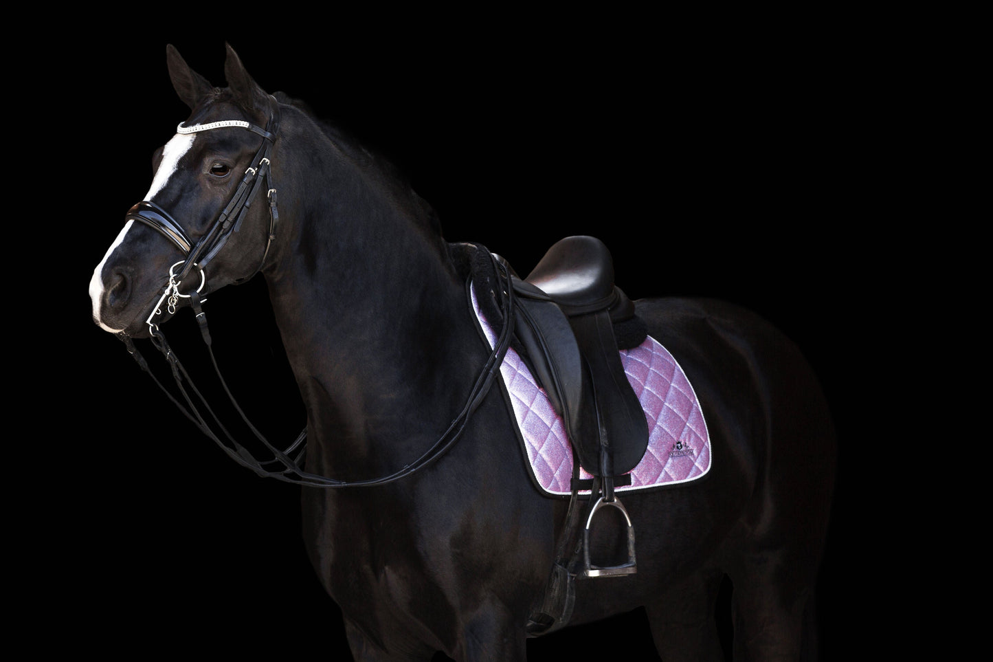 Lavender Saddle Pad
