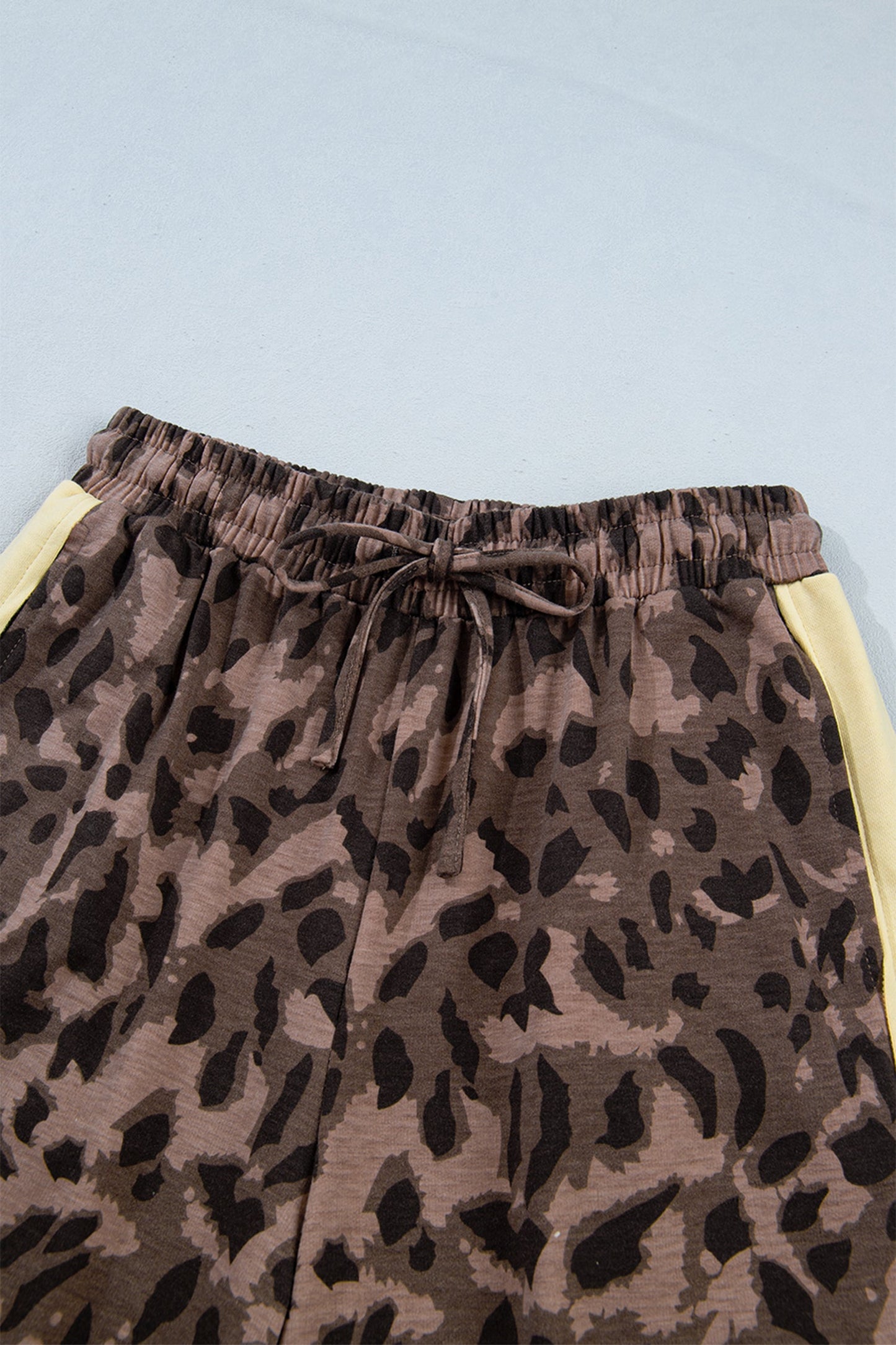 Leopard Colorblock Top & Wide Leg Pants Set