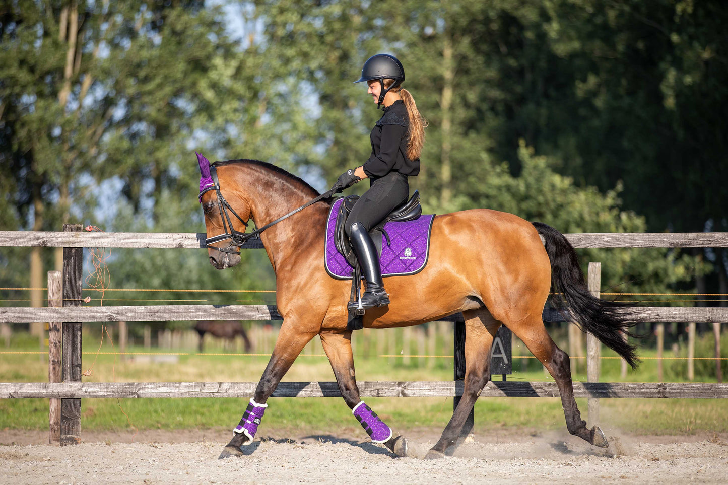 Purple Amethyst Saddle Pad Set